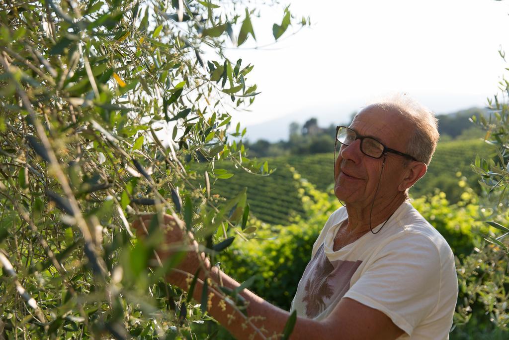 Villa Prosecco Tarzo ภายนอก รูปภาพ