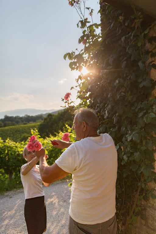 Villa Prosecco Tarzo ภายนอก รูปภาพ
