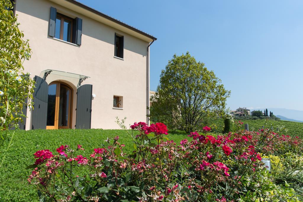 Villa Prosecco Tarzo ภายนอก รูปภาพ